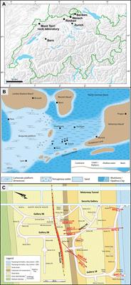Quantification of Lithological Heterogeneity Within Opalinus Clay: Toward a Uniform Subfacies Classification Scheme Using a Novel Automated Core Image Recognition Tool